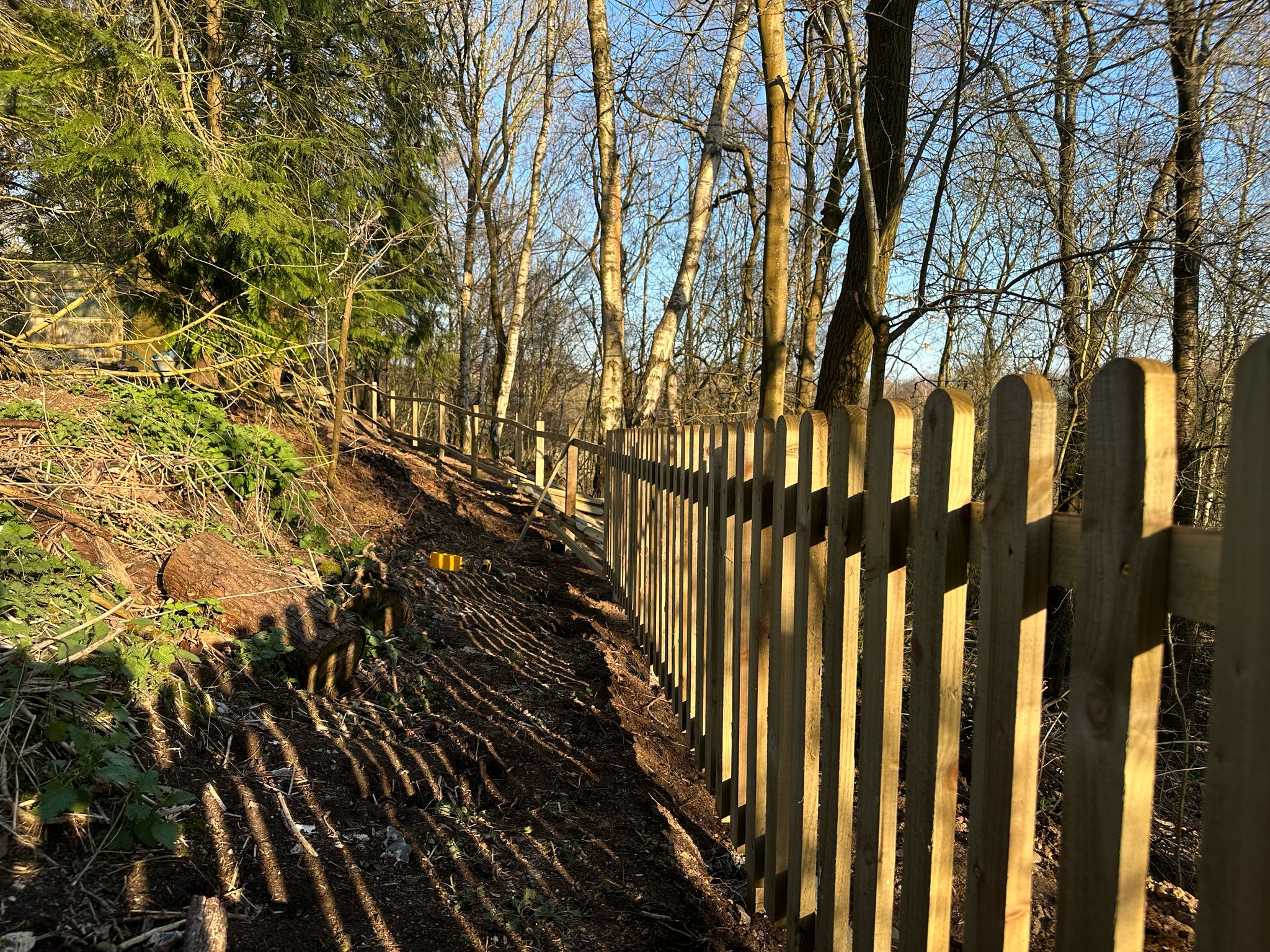 Picket fencing along woodland slope